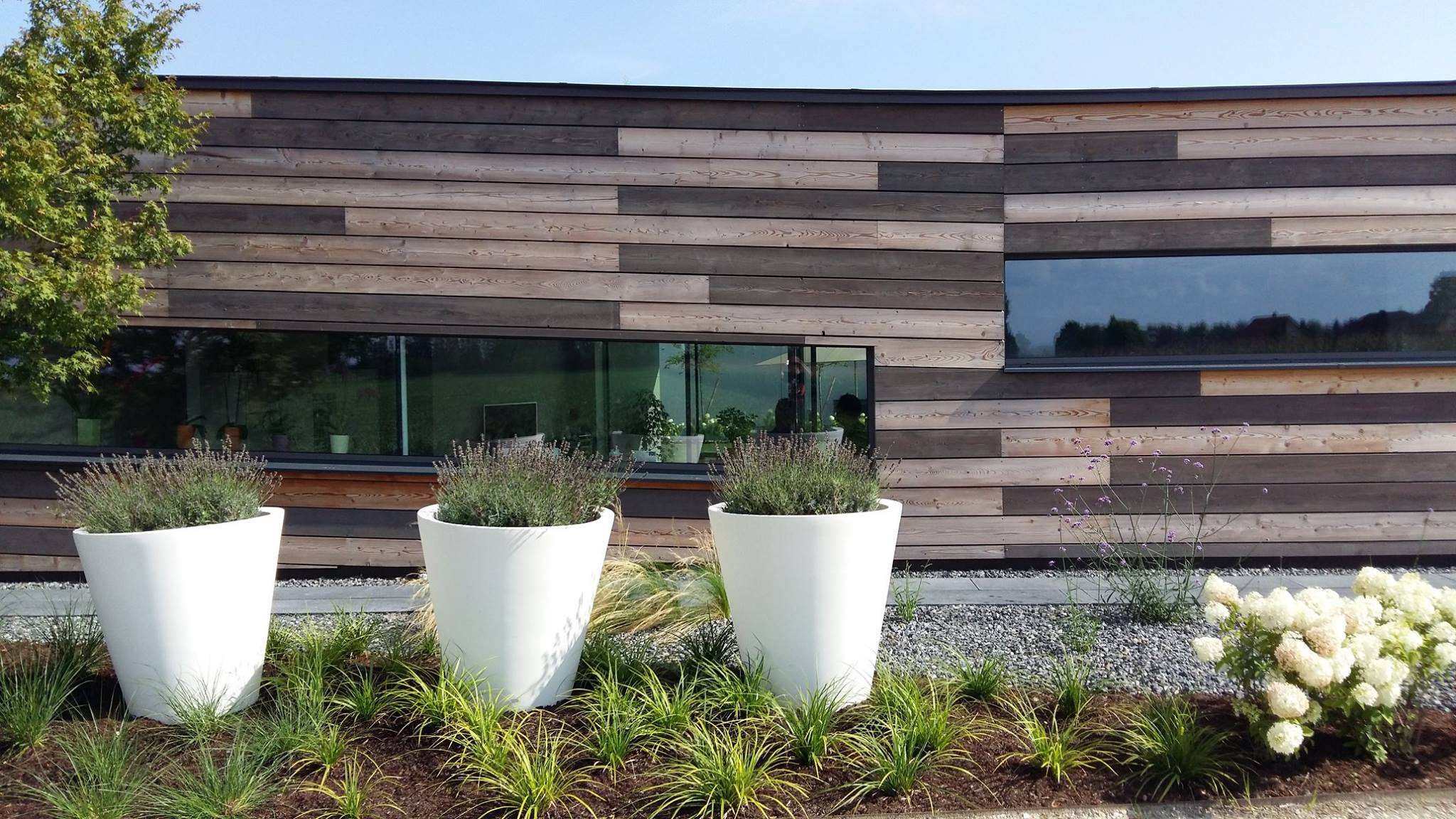 Houzz Австрия: Деревянный дом с «зеленой» крышей под Веной