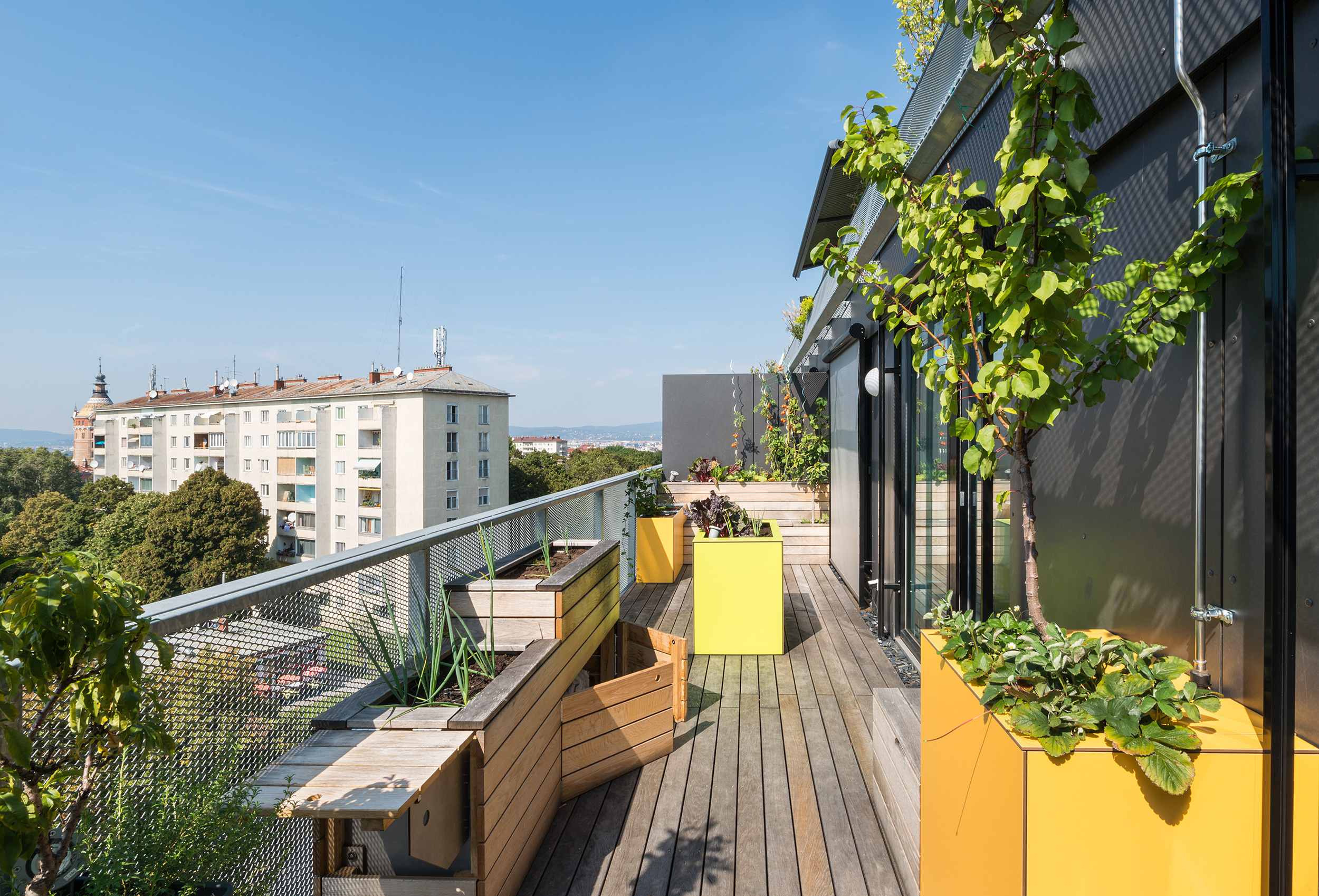 Houzz Австрия: Террасы с мини-огородом и душем на крыше