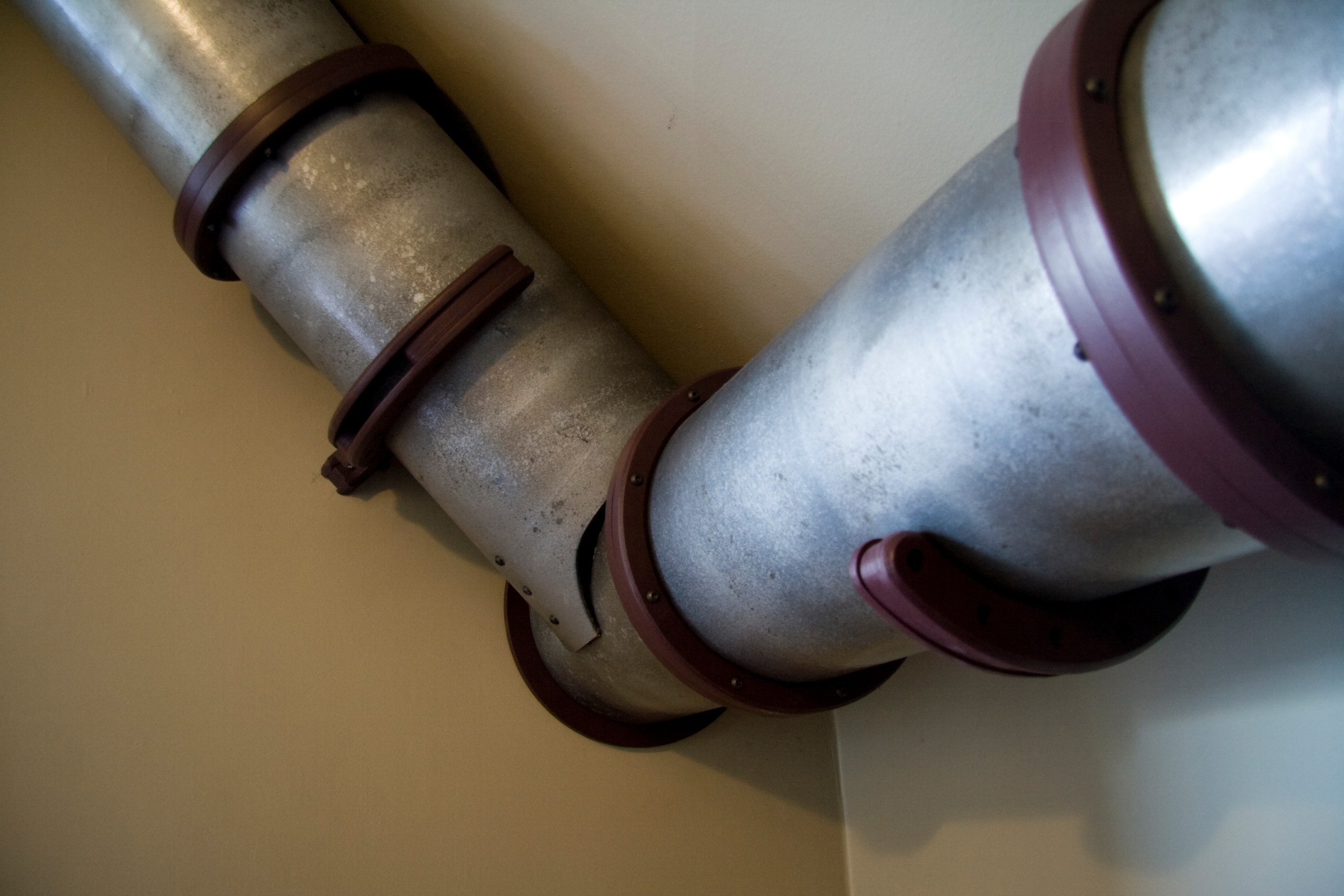 Кошка гуляет сама по себе: Парк развлечений для любимицы