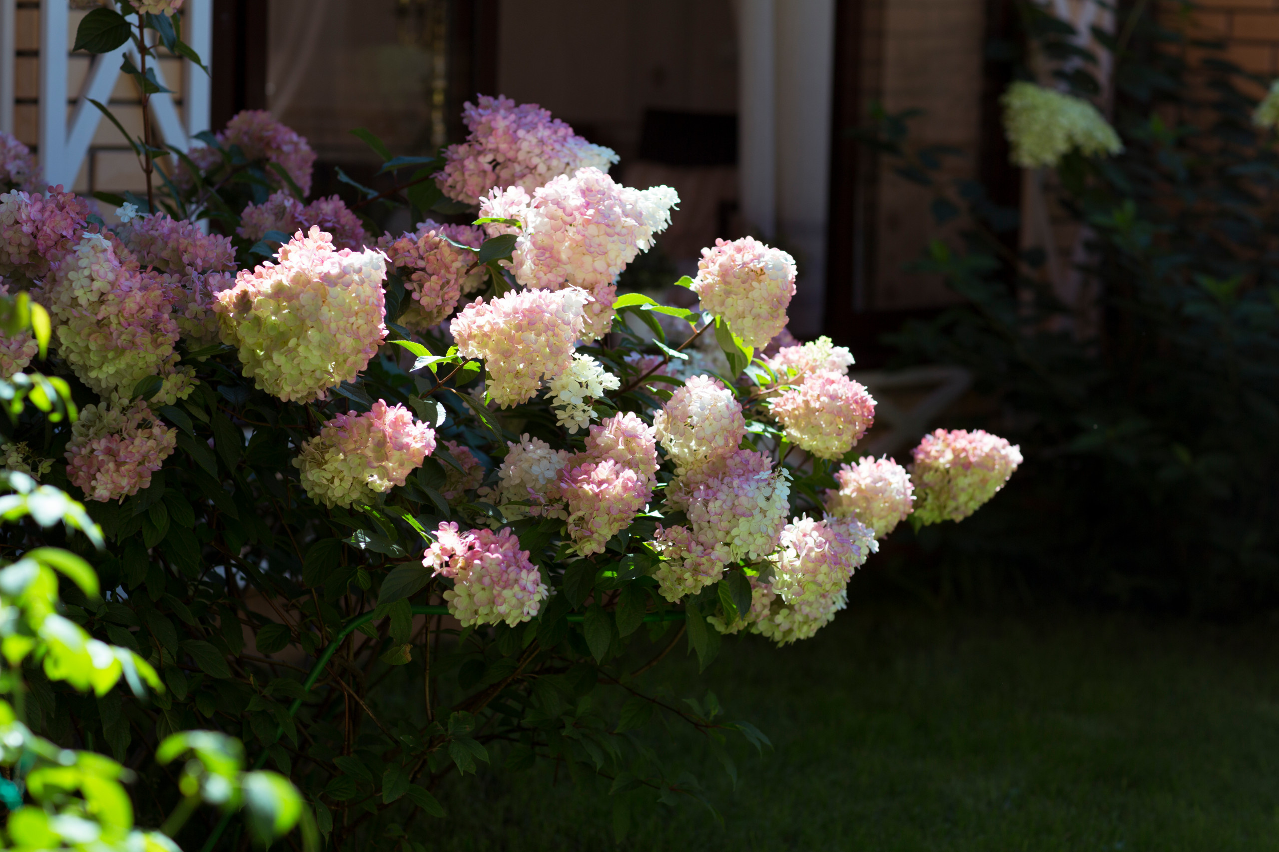 В гостях: Компактный сад, где работает каждый сантиметр