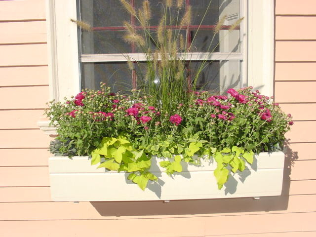 Вопрос: Как разбить сад за окном в цветочнице