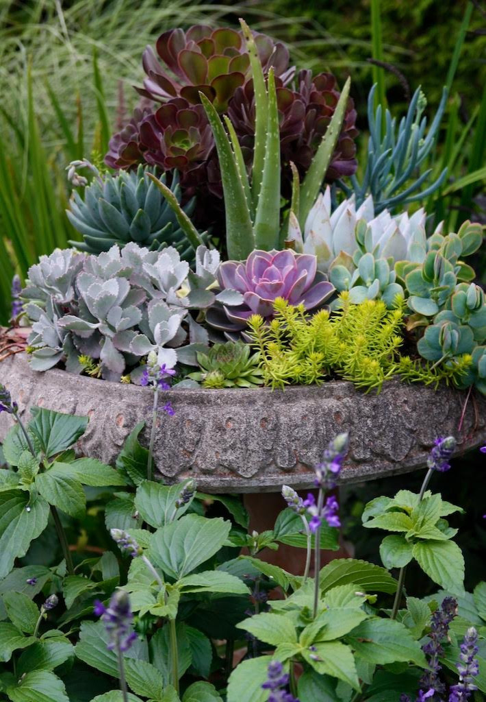 12 весенних композиций для сада в контейнере