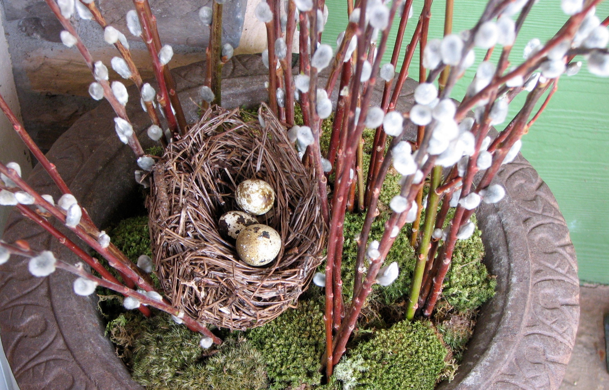 12 весенних композиций для сада в контейнере