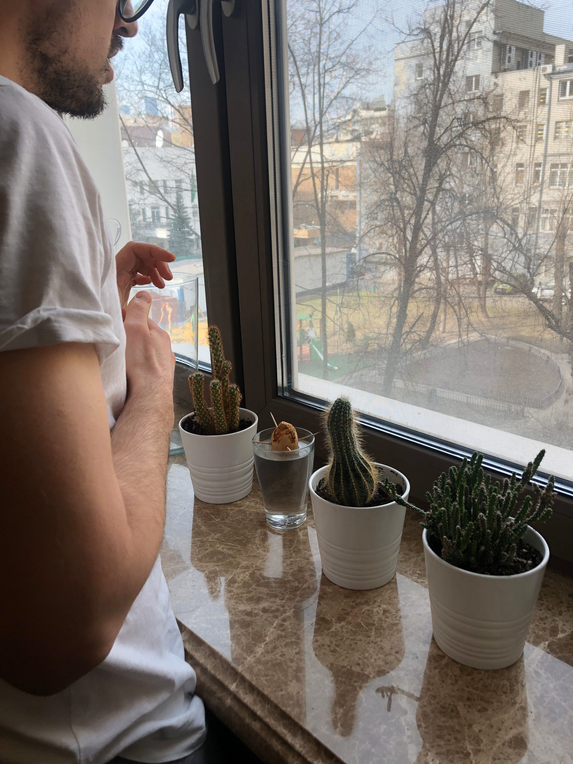 Houzz call: Покажите нам апрель из своего окна