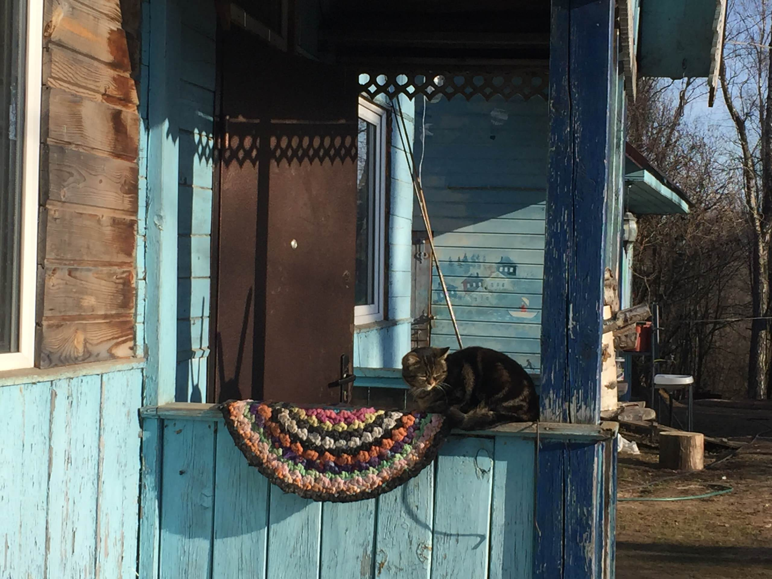 Houzz call: Покажите нам апрель из своего окна