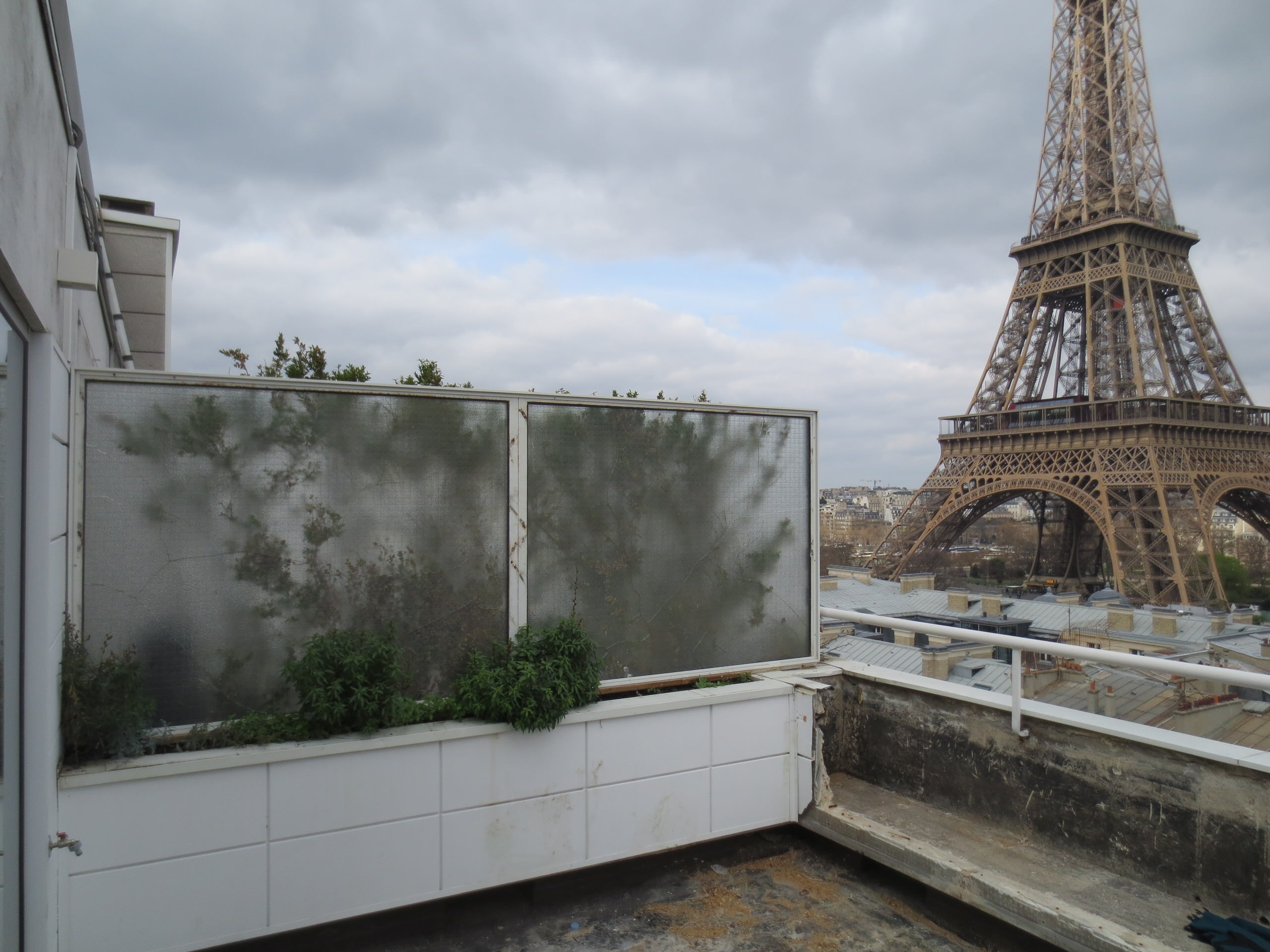 До и после: Преображение террасы за 7 дней