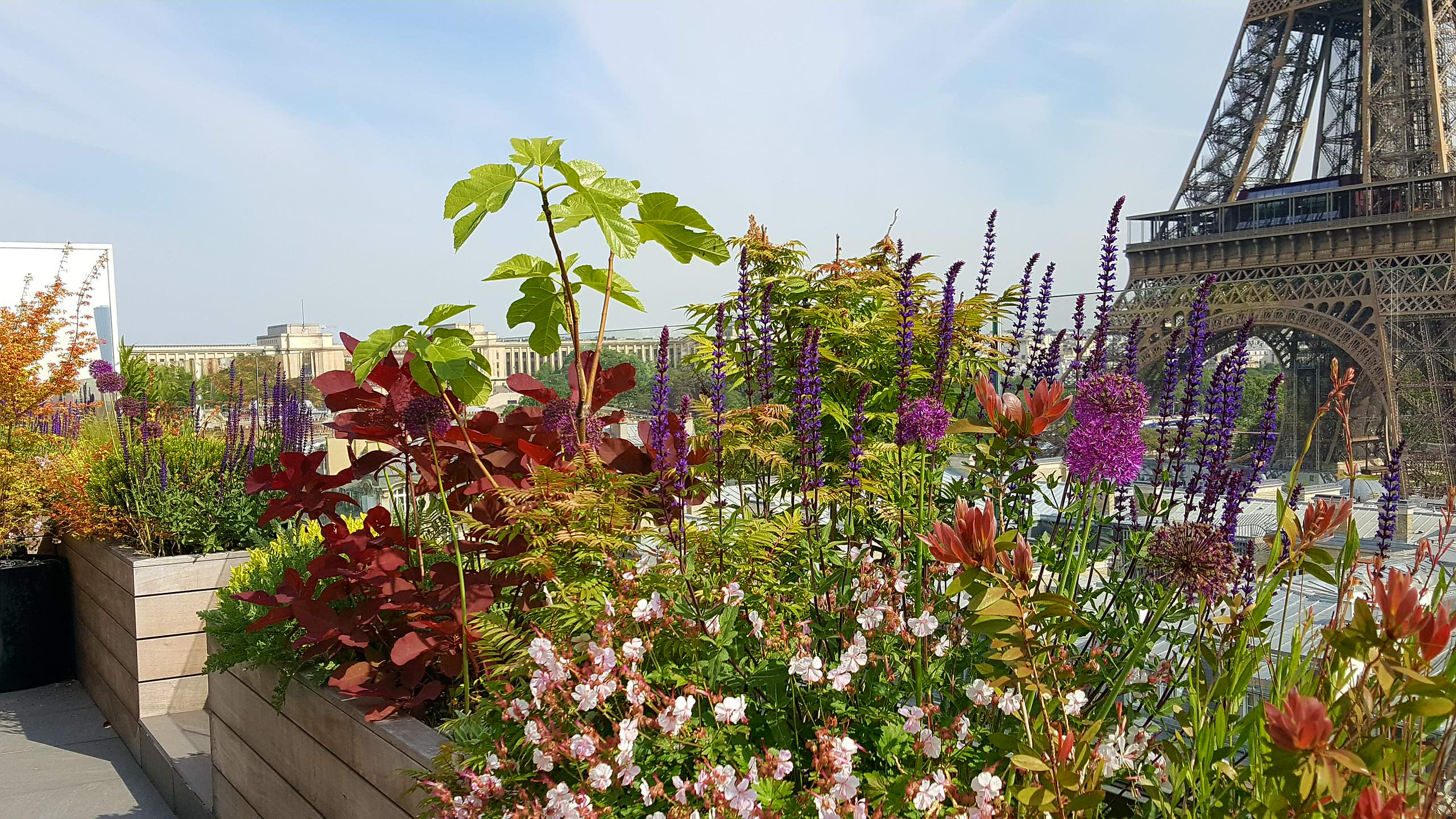 До и после: Преображение террасы за 7 дней