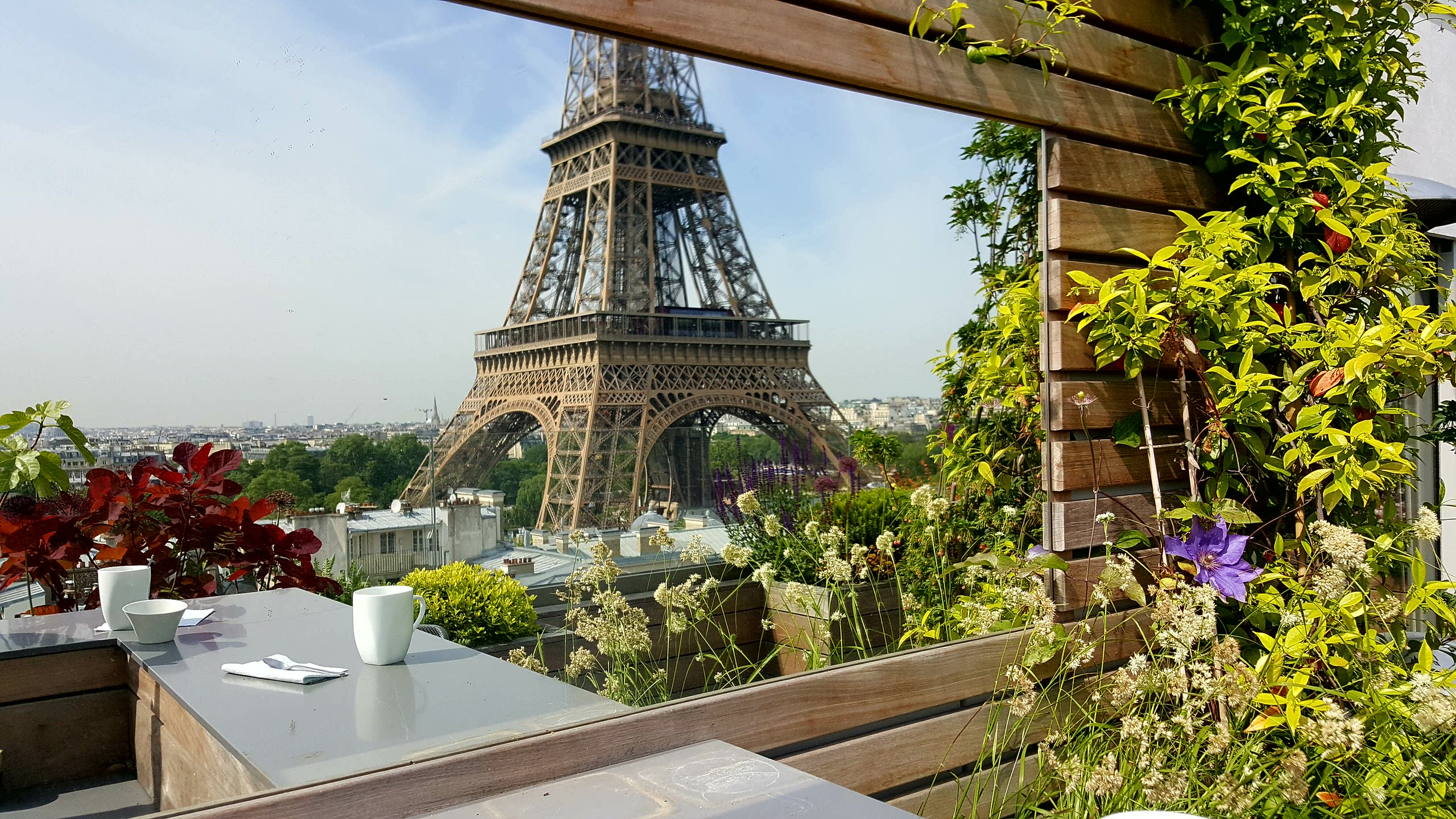 До и после: Преображение террасы за 7 дней