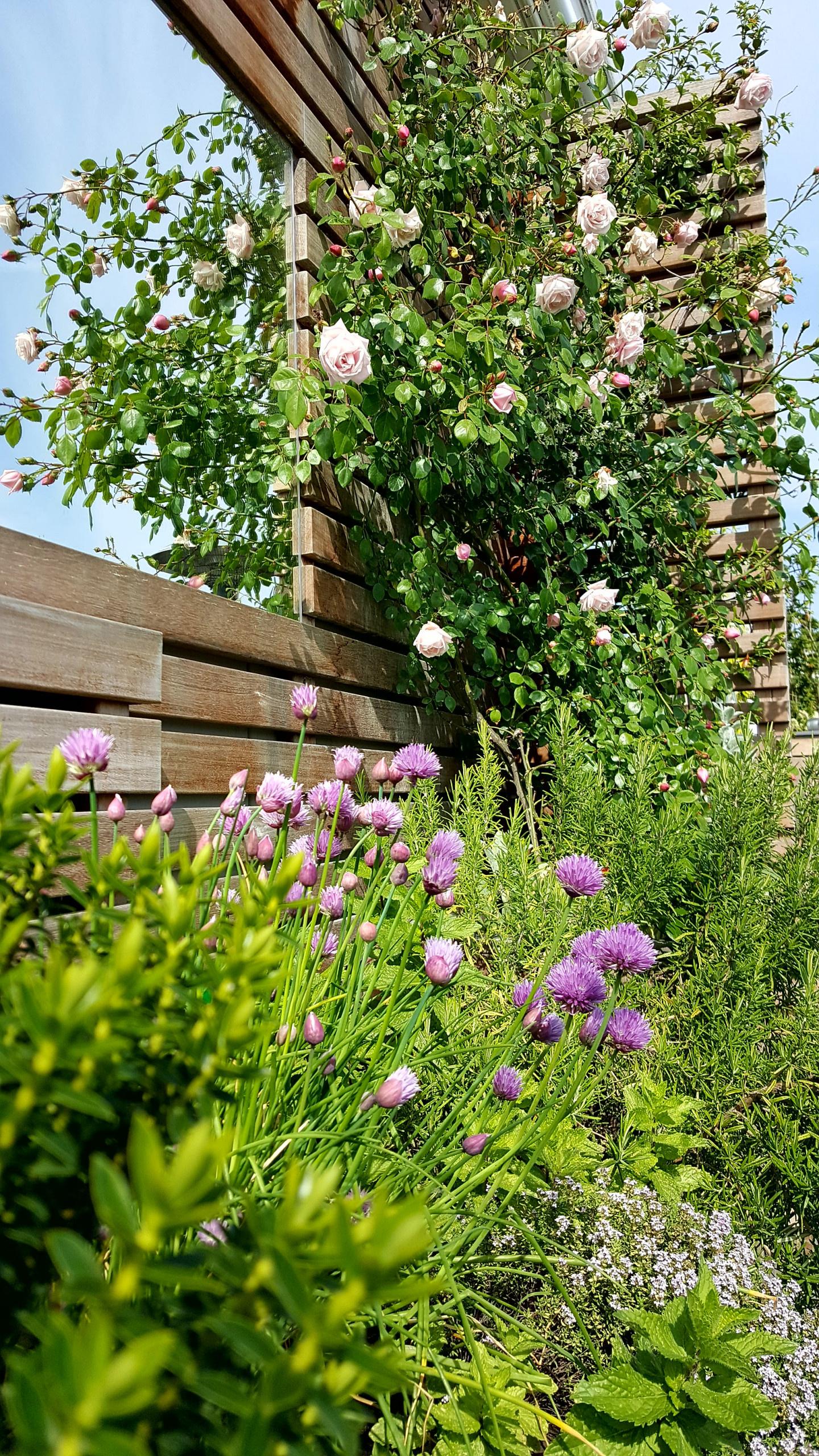 До и после: Преображение террасы за 7 дней