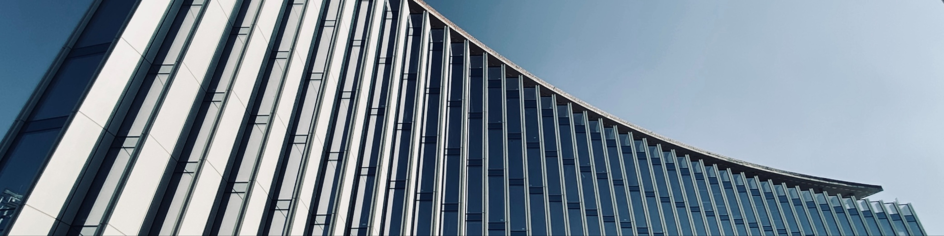 Фоновое изображение профиля Светозар Андреев