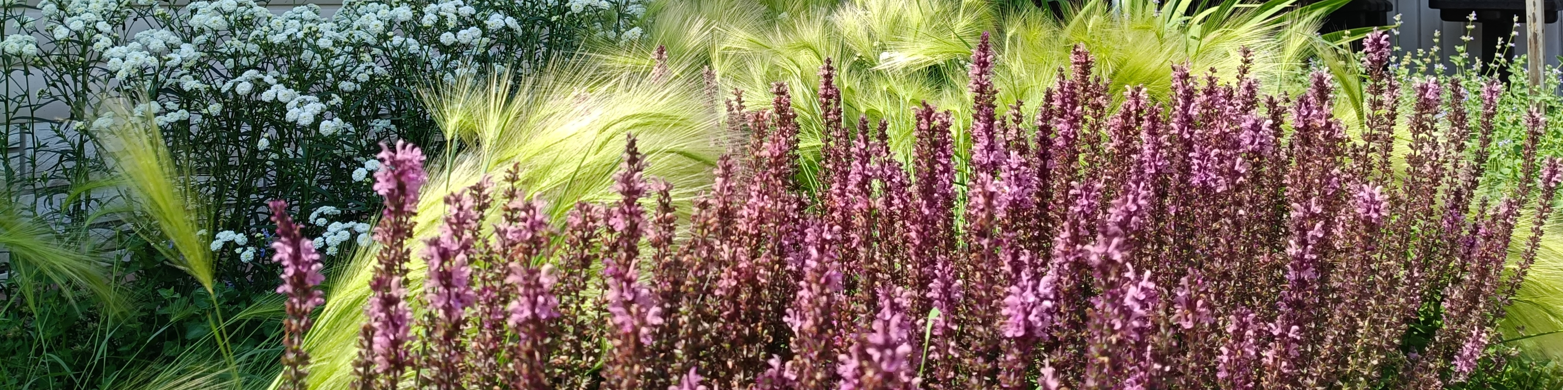 Анастасия Неруш