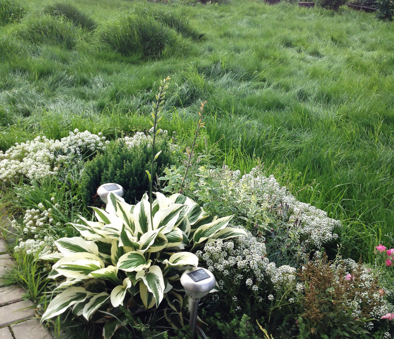 Что-то с чем-то: Как создавать композиции из растений