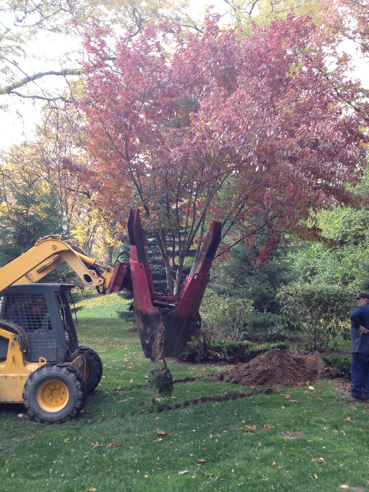 Работа над ошибками: Что пошло не так с деревьями