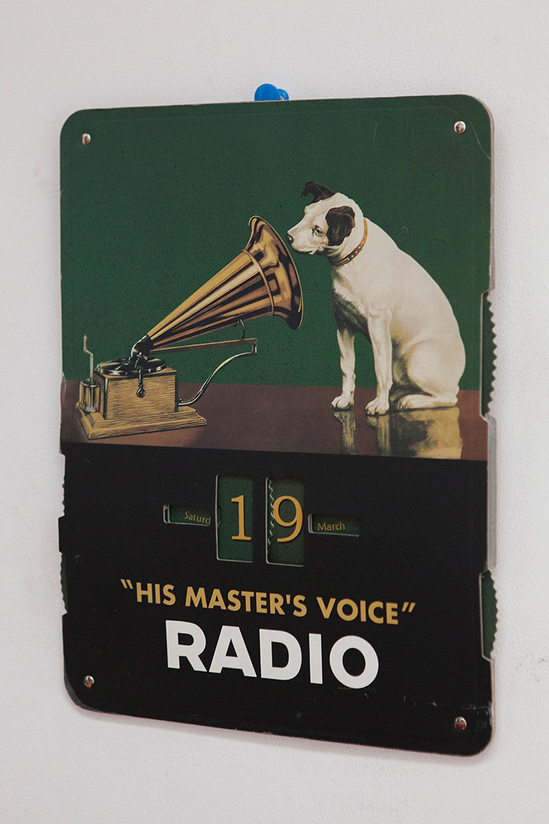 В гостях: Квартира с ученым котом и умопомрачительным видом