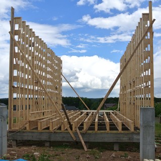 Фриштер Владимир