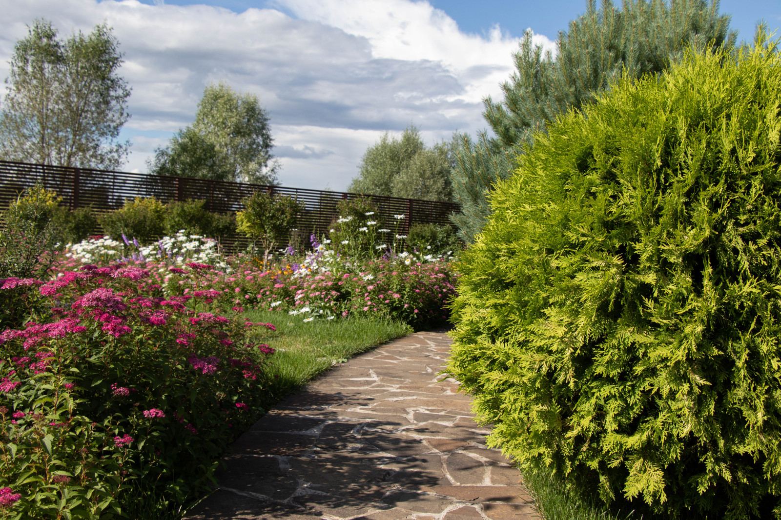 Сосновые берега