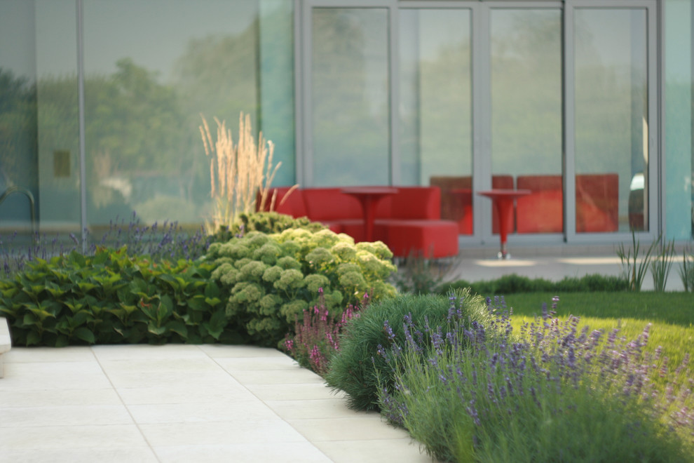 landscape design - Kirovskoe_Dnepropetrovsk region