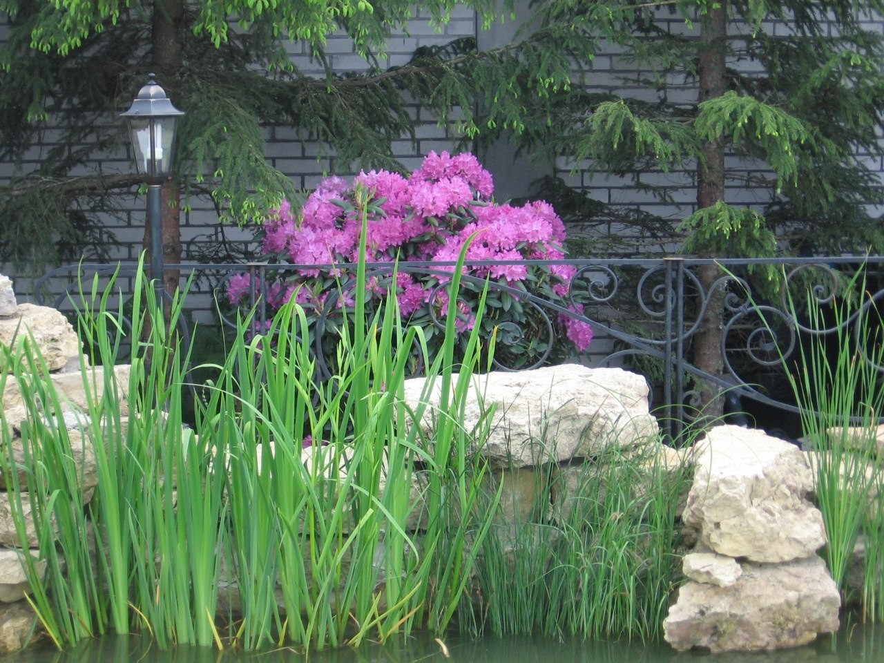 Участок в Парголово