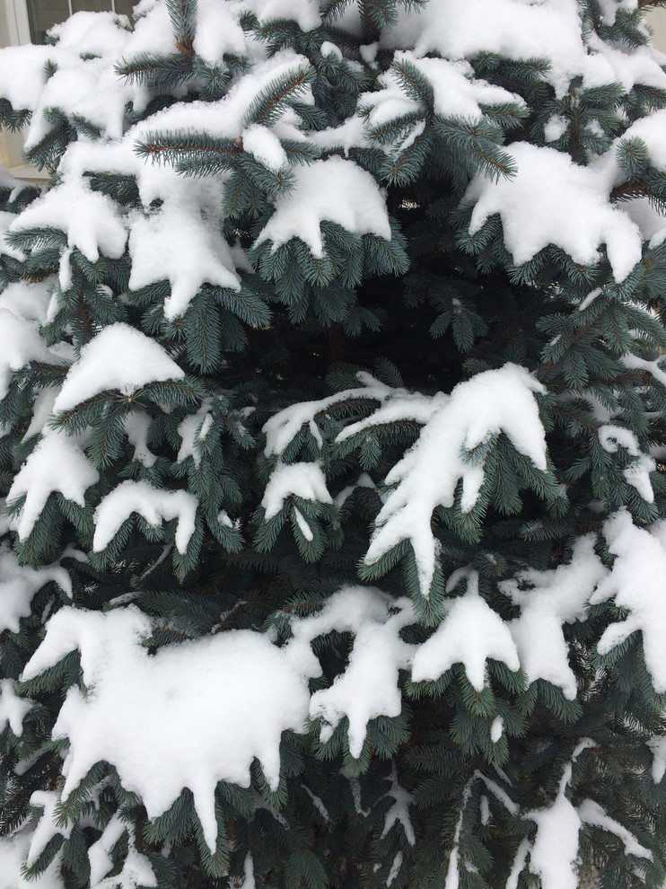 Зимний ландшафт