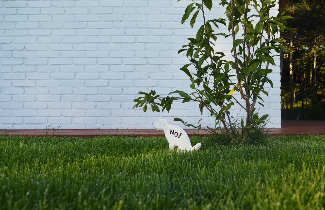 Покупаем дачу: Как понять, что документы в порядке