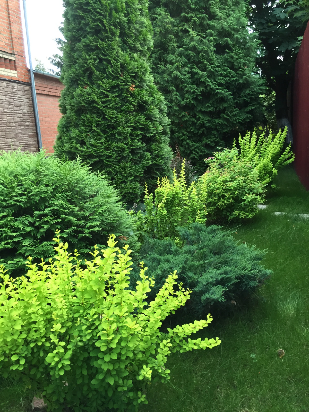 «Сад созерцания»