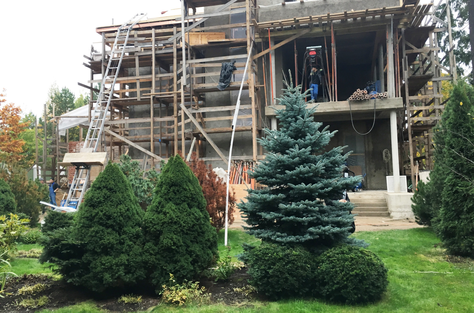 Очарование английского сада КП Балтия 2018 г