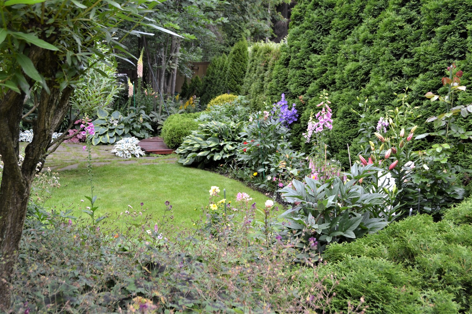 Клуб владельцев частных садов "Цветущая Планета". Сад в лесу и теневые цветники.