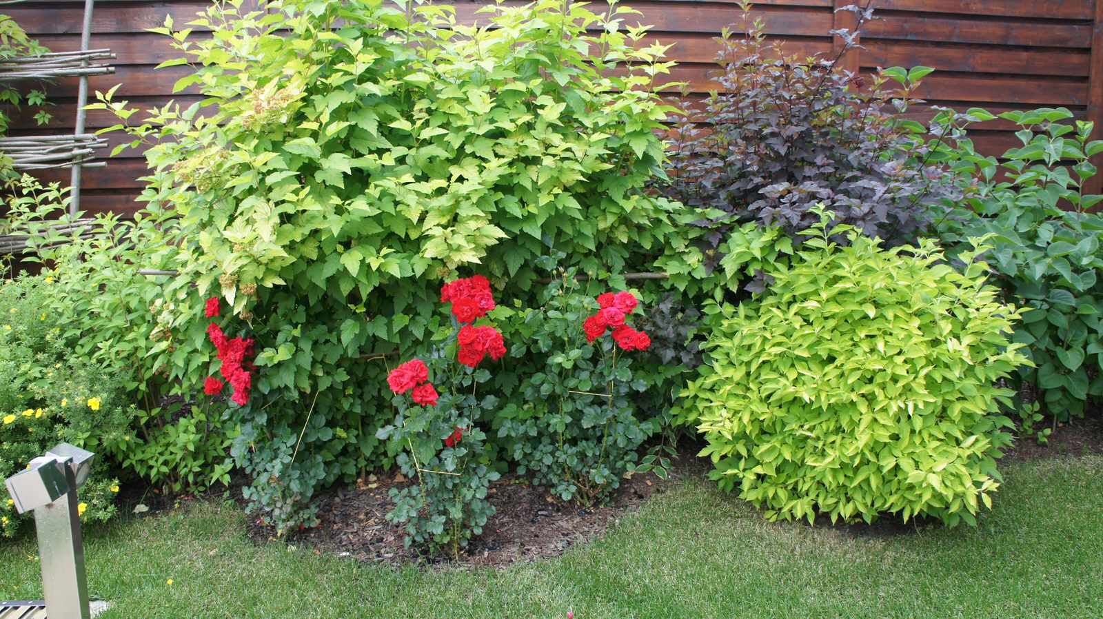 Прохорово лето 2017