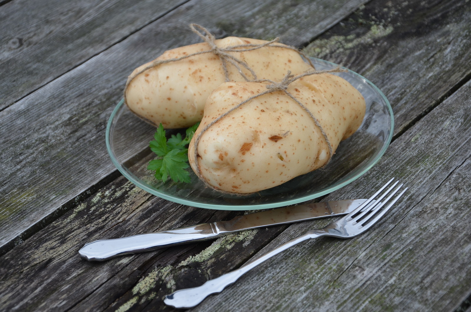 Обложка проекта: ОГОРОД