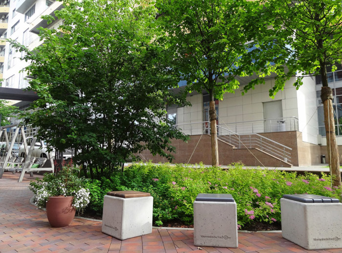 Парк ДК Новоспасский