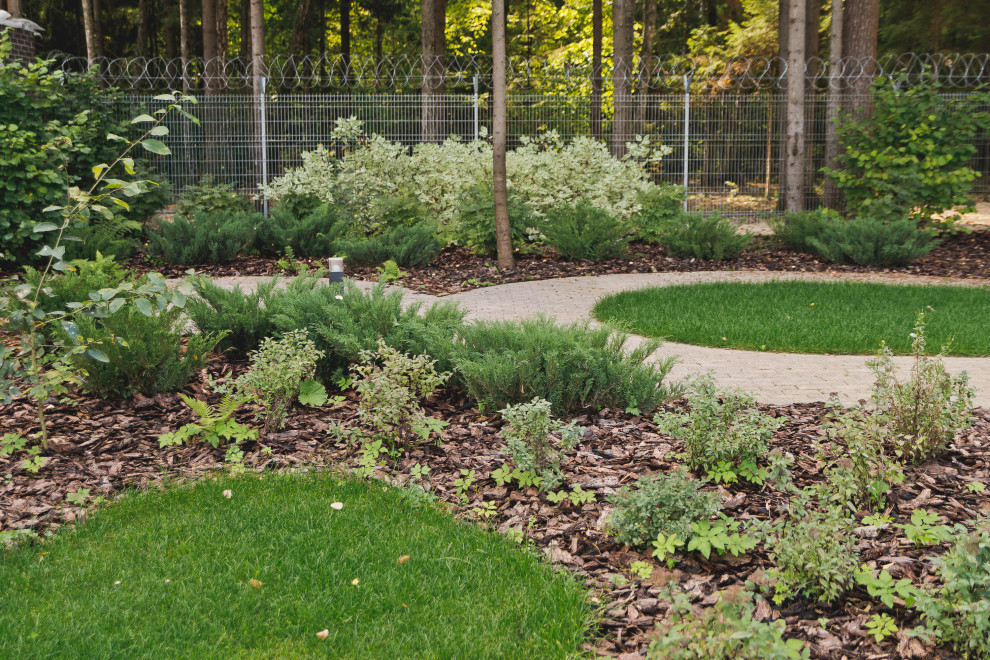 Сад на краю леса