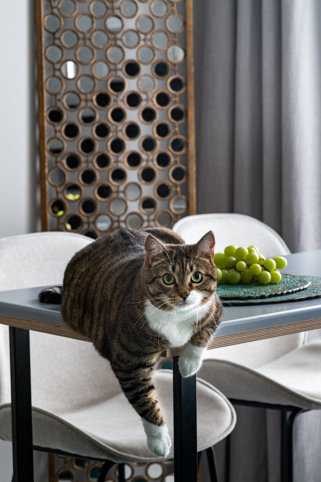 Кошачий рай