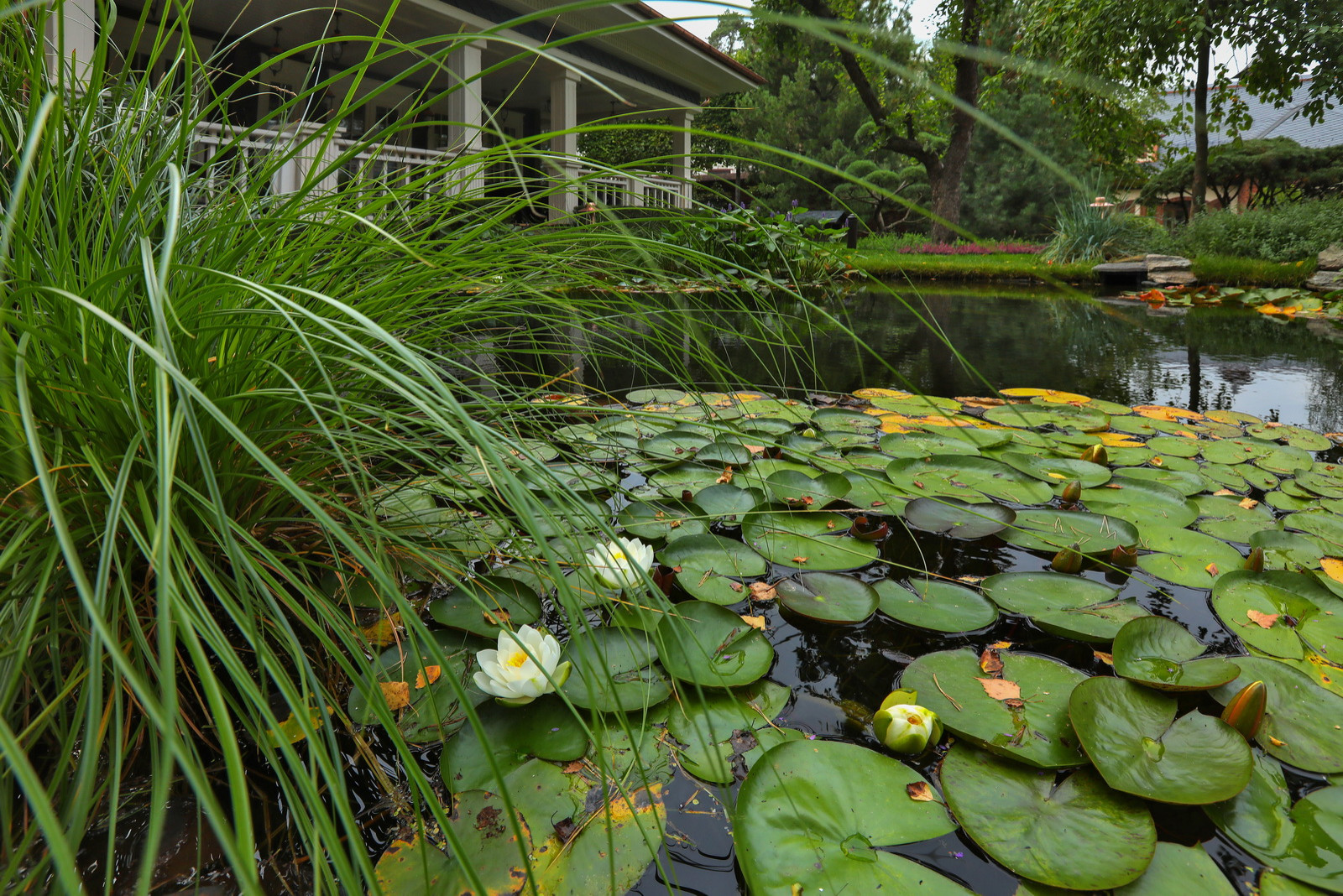 Коттеджный сад в Барвихе (дизайн и исполнение компании "Imperial Garden")
