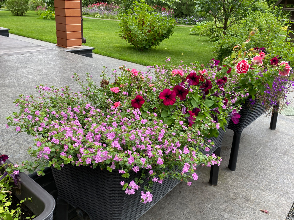 КП Пестово "Evergreen'