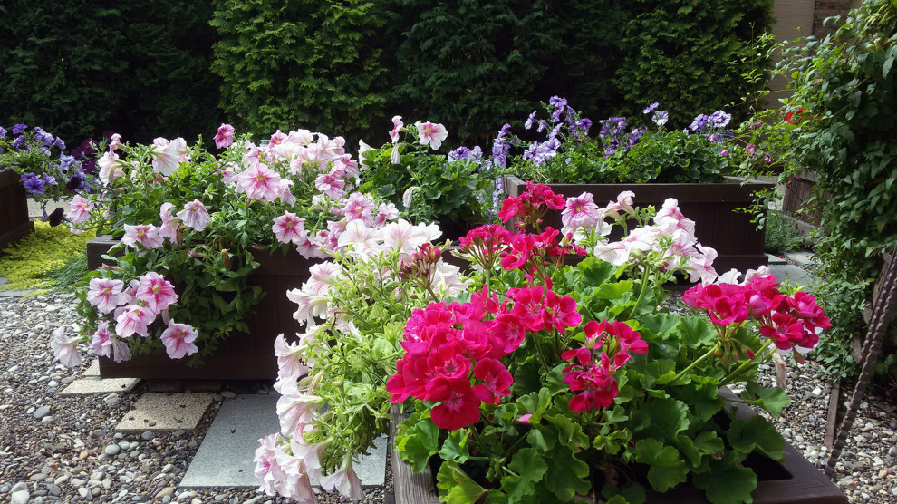 "Кленовый лист"