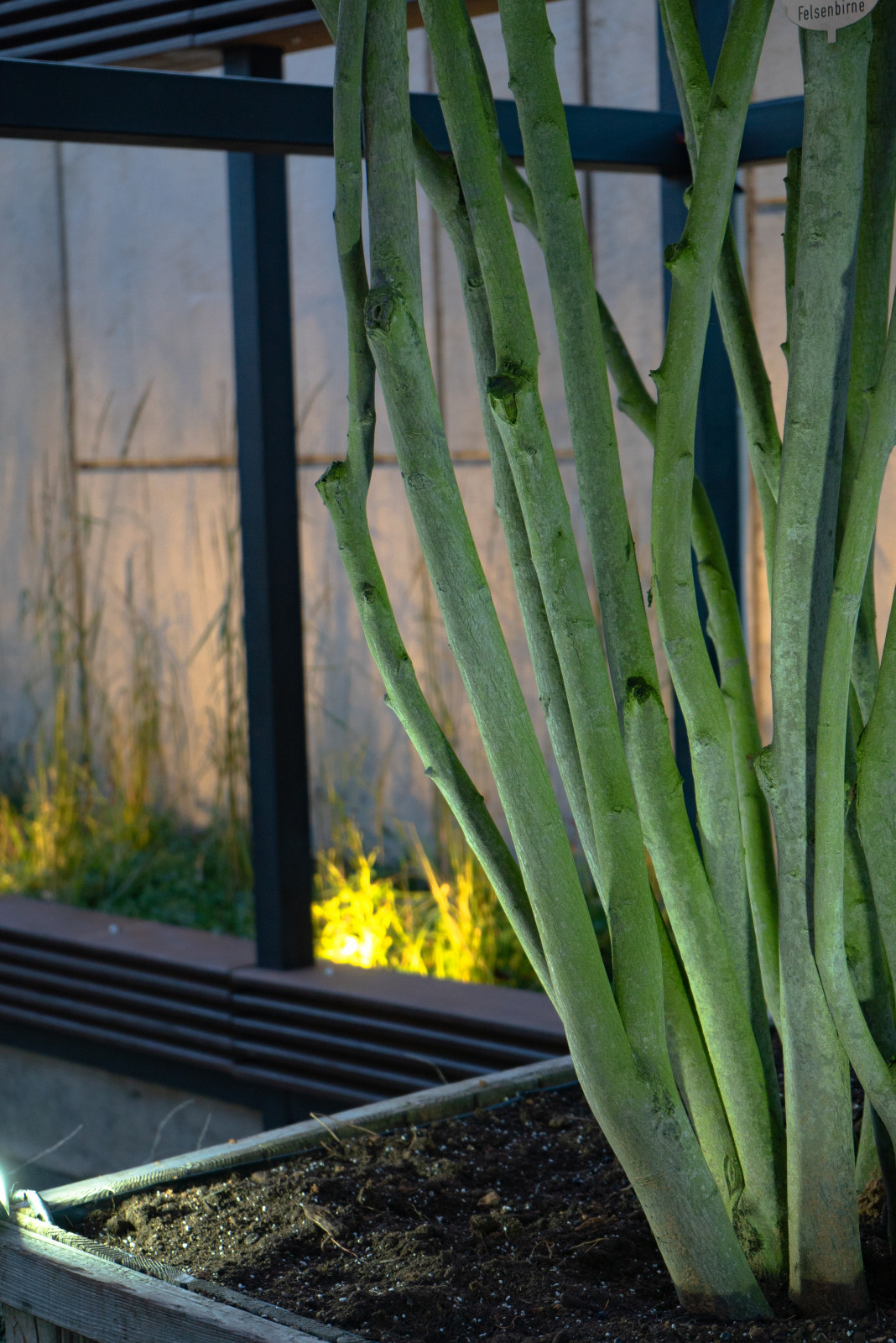 Архитектура природы