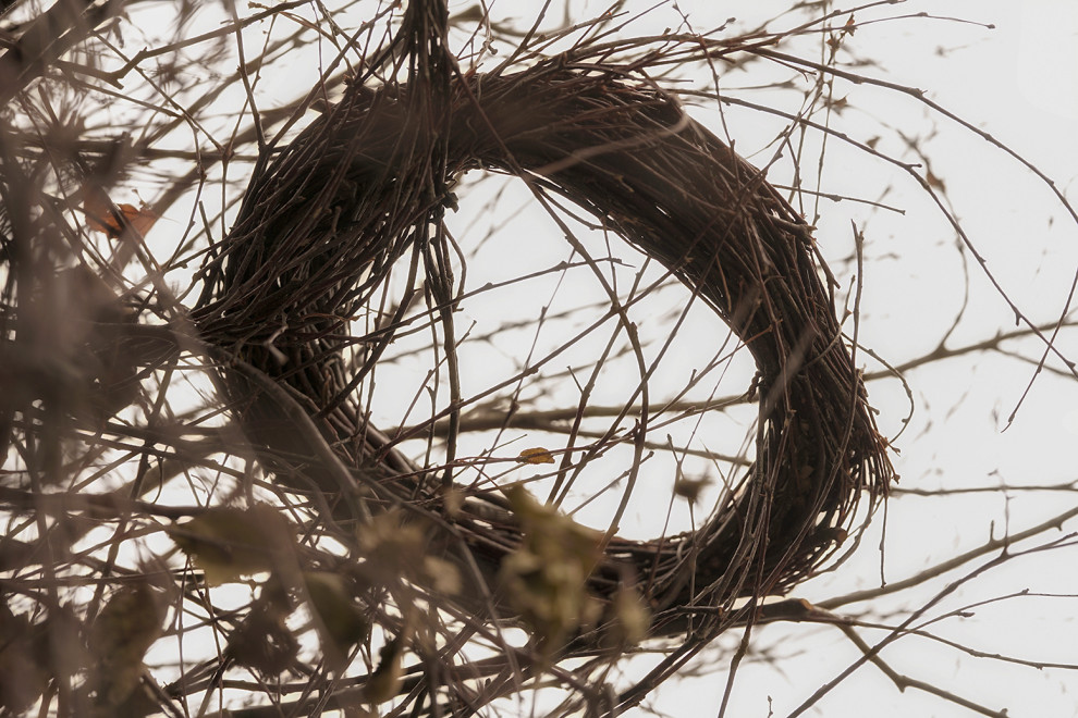 Фотосъемка Сада по сказке СиняяПтица на MFS 2019 Авторы М,Береснева М. ПРИНТЦ