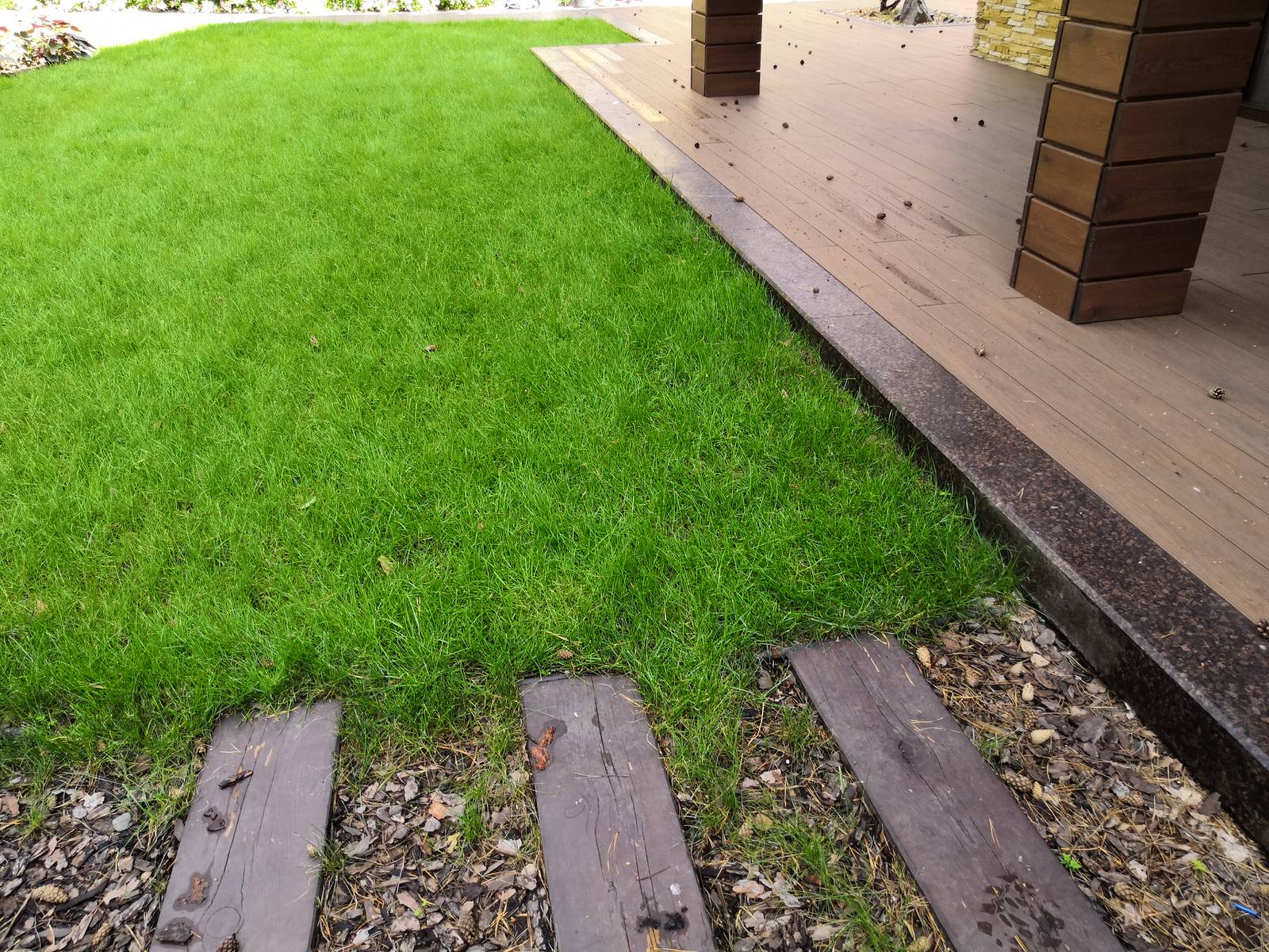 12 сот в лесу