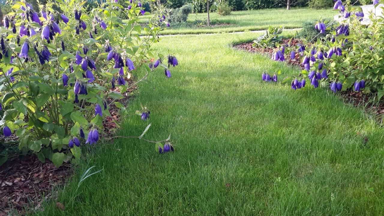 Цвет  2022 года   в реализованных   проектах