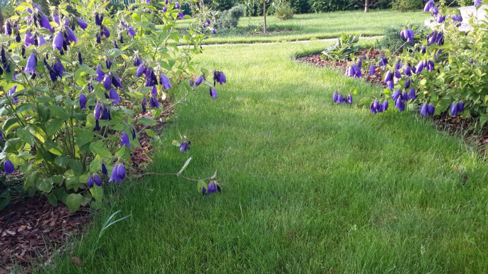 Цвет 2022 года в реализованных проектах