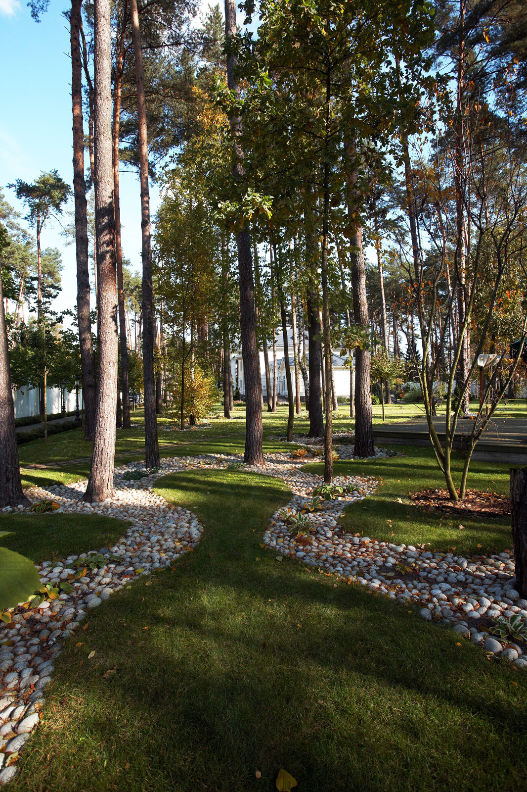 Каменистые ленты