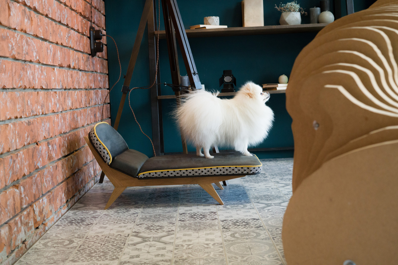 Авторская софа для собак - LIMA