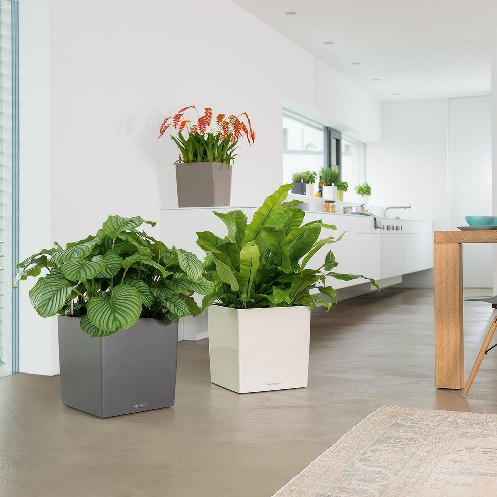 Новое в глянце!