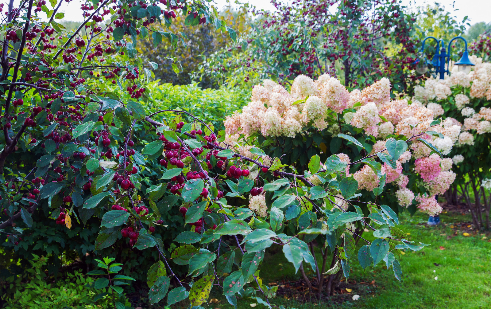 Парк в  Шаховском районе