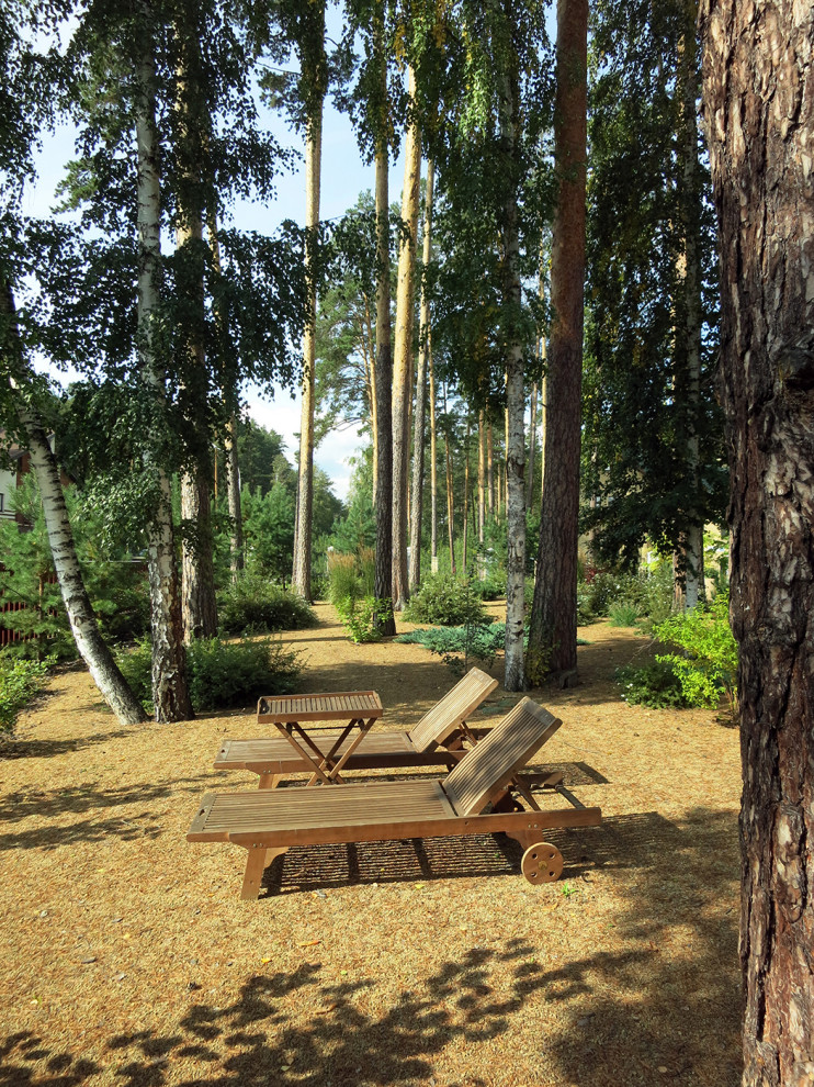 Маленький сад между большими соснами.