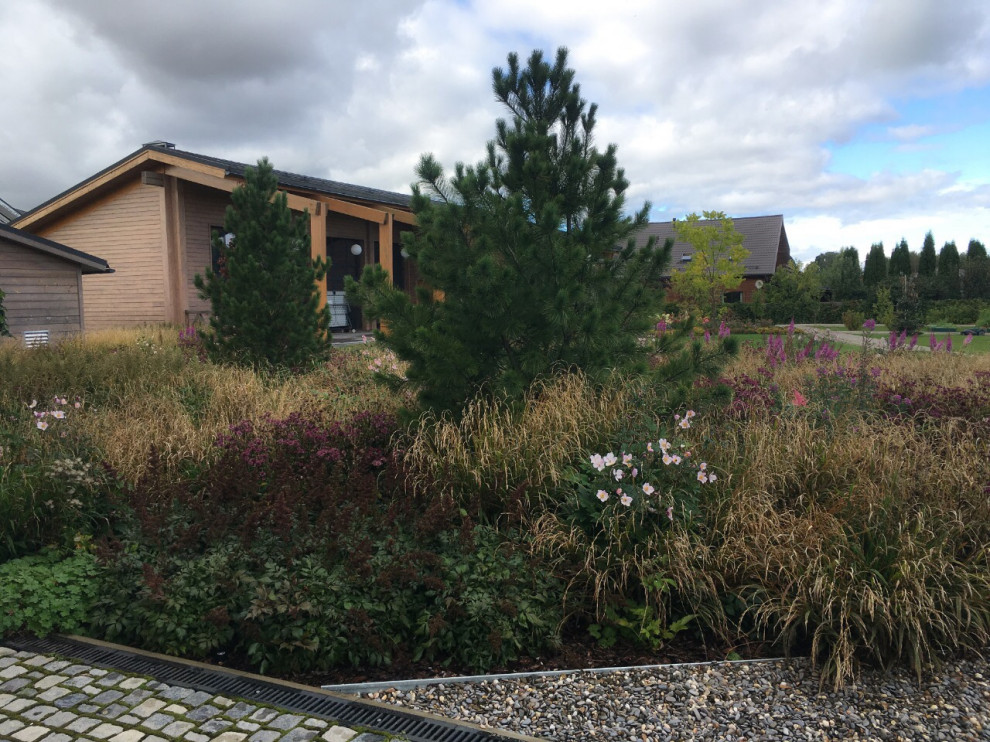 Цветник осенью