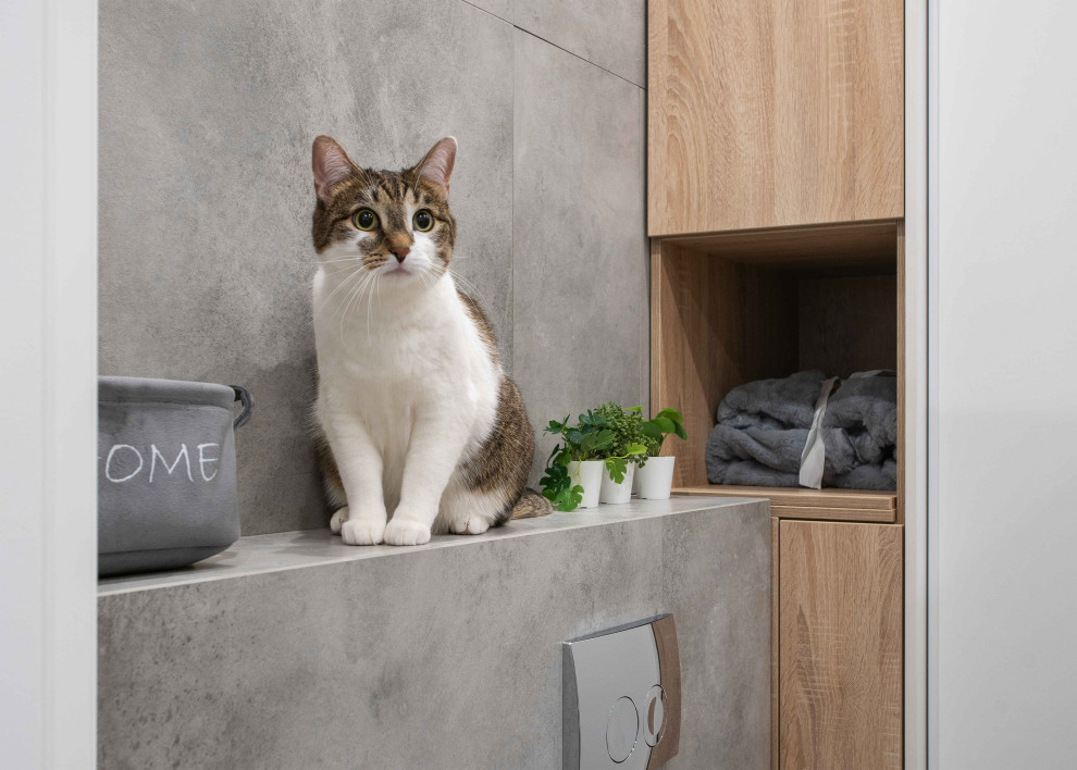 Новый проект