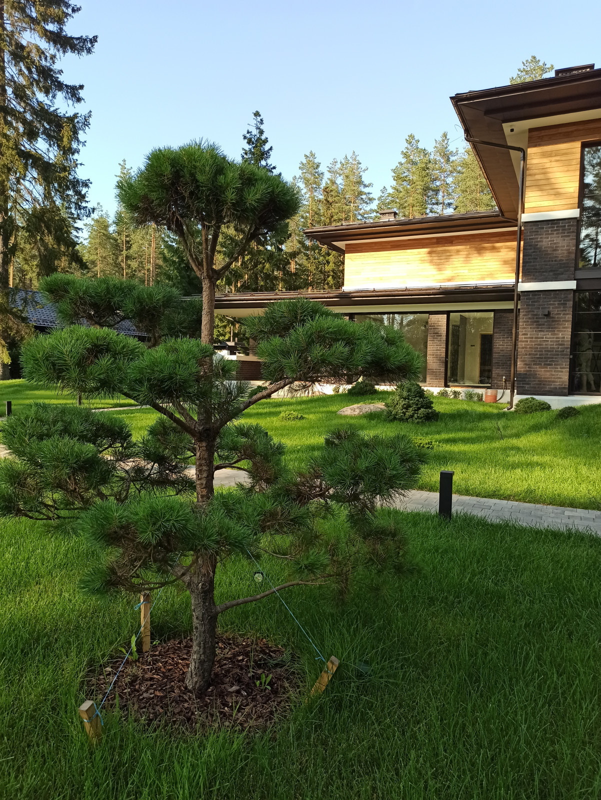 Ландшафт для дома в стиле Райта