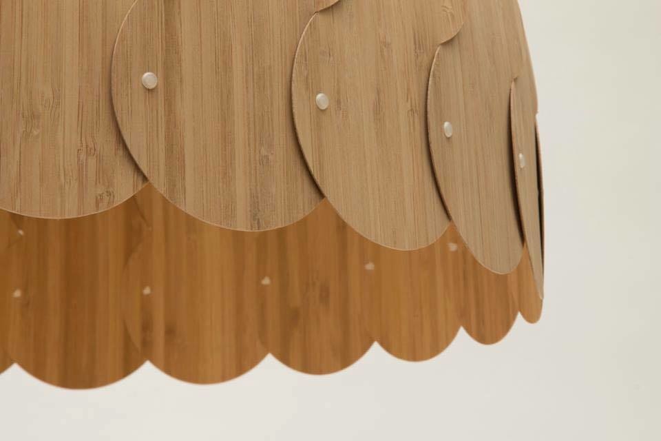 Эскизный проект пристройки