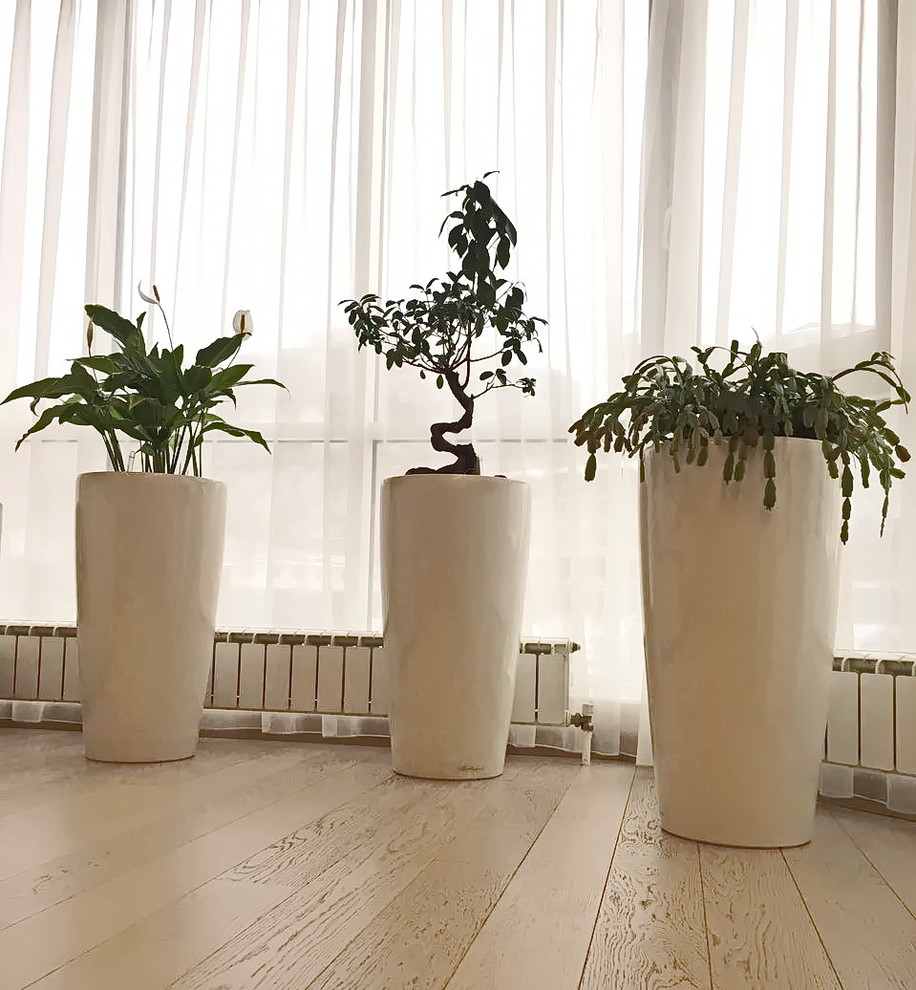 Озеленение частных квартир